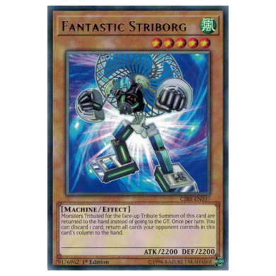 Circuit Break CIBR-EN037 Fantastic Striborg