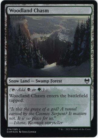 MTG Kaldheim 274/285 Woodland Chasm Foil
