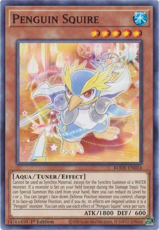 Burst Of Destiny BODE-EN024 Penguin Squire