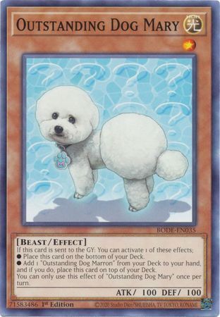 Burst Of Destiny BODE-EN035 Outstanding Dog Mary