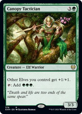 MTG Kaldheim 378 Canopy Tactician