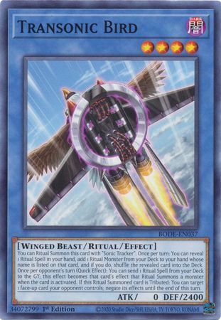 Burst Of Destiny BODE-EN037 Transonic Bird