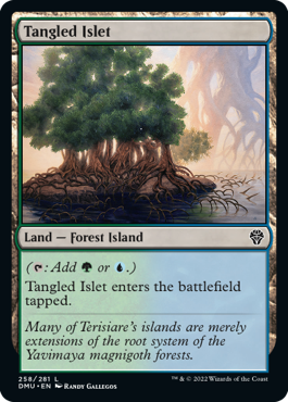 MTG Dominaria United 258/281 Tangled Islet