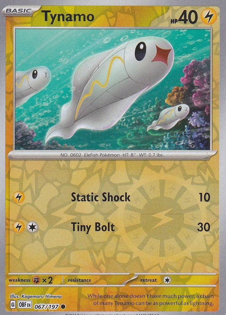 Scarlet & Violet Obsidian Flames 067/197 Tynamo Reverse Holo