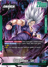 Dual Evolution FB09-049 Son Gohan : SH