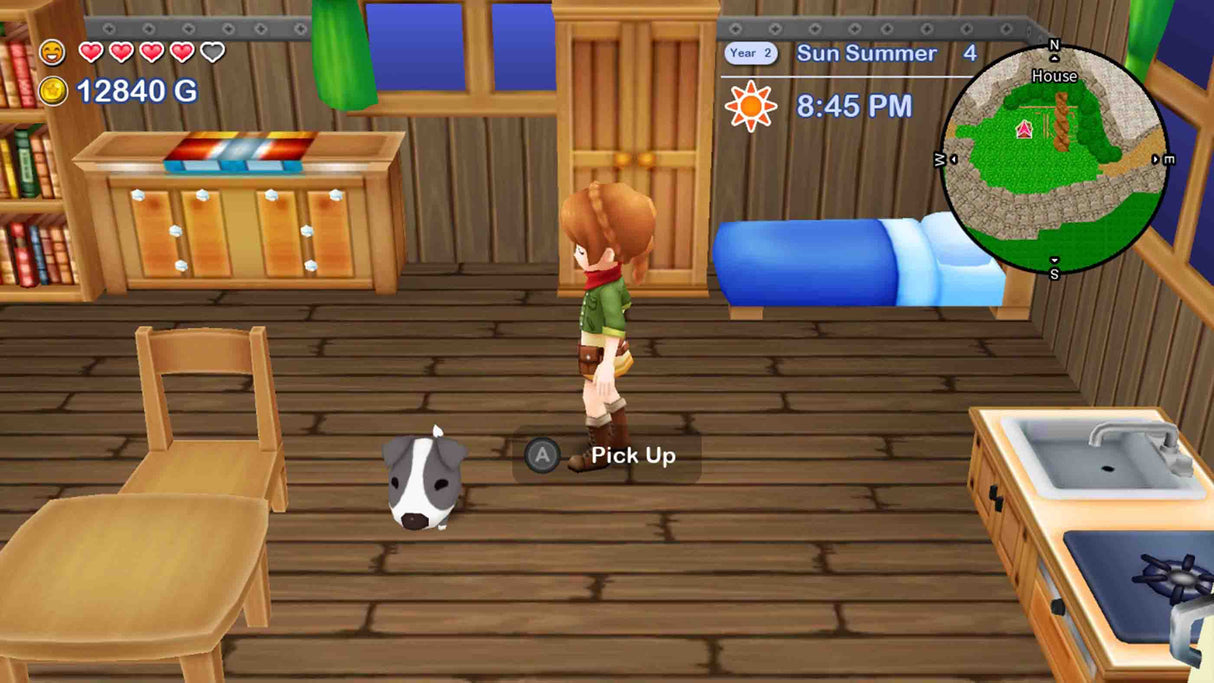 Harvest Moon: The Lost Valley and Skytree Village Collector’s Edition