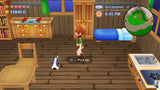 Harvest Moon: The Lost Valley and Skytree Village Collector’s Edition