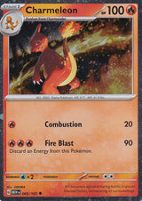 Charizard ex Super-Premium Collection Promo Cards