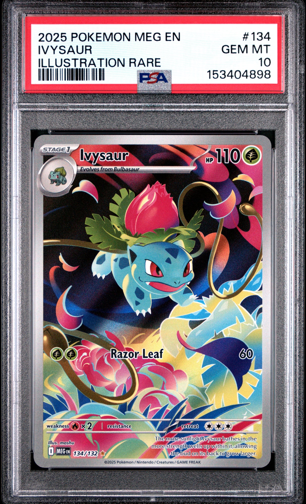 2025 POKEMON MEG EN-MEGA EVOLUTION #134 IVYSAUR ILLUSTRATION RARE PSA 10
