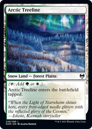 MTG Kaldheim 249/285 Arctic Treeline