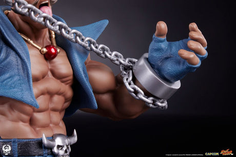 Street Fighter PVC Statues 1/10 Cammy & Birdie 24 cm